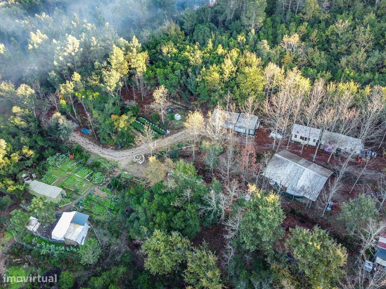 Viver de uma forma Ecológica em Terreno Panorâmico em Calde, Viseu-22
