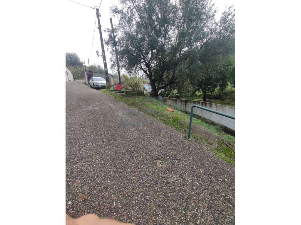 Terreno com Ruína para Reconstrução - Arripiado-5