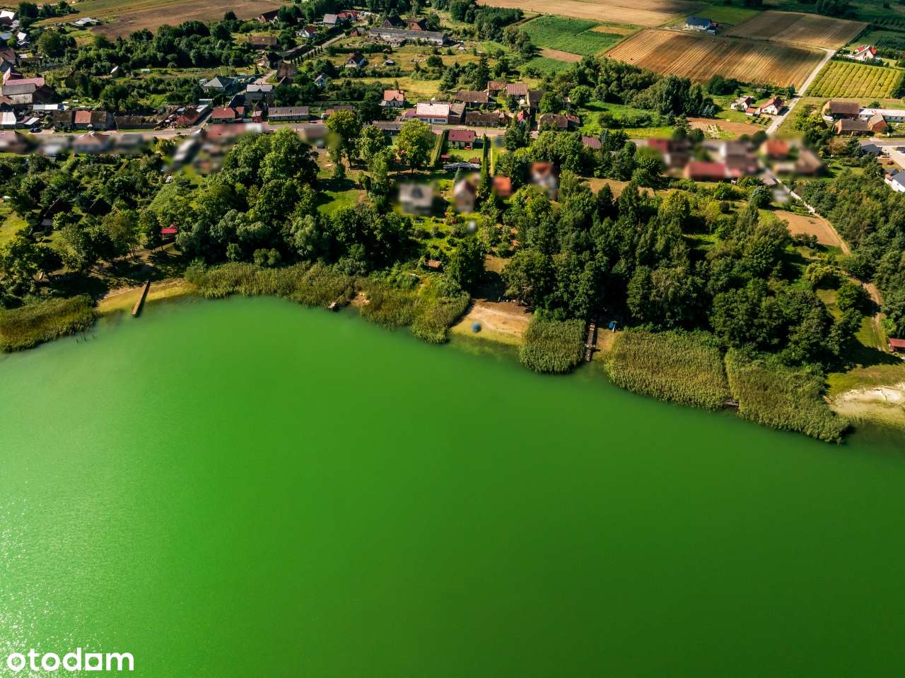Dom wolnostojący W CHŁOPOWIE – blisko jeziora, atrakcyjna miejscowość - Pełny obrazek: 5/20