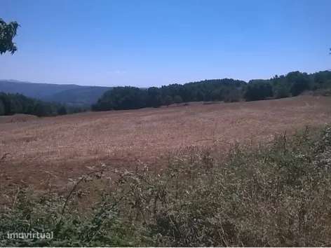 Terreno, Bragança, Vinhais - Grande imagem: 2/5