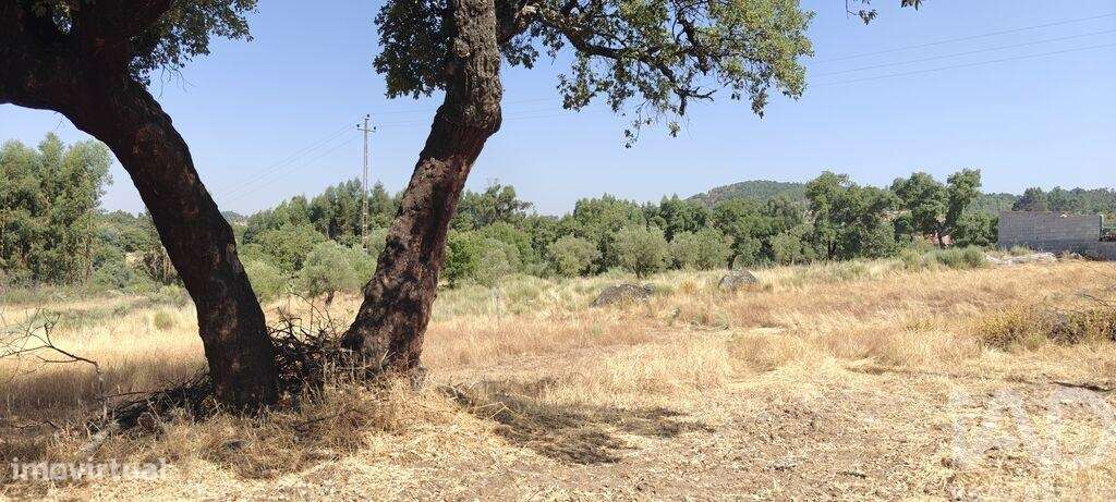 Terreno em Aranhas - Grande imagem: 2/2