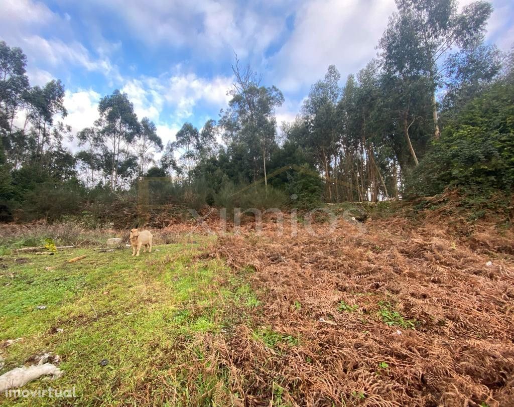 Terreno em Fornelo para venda