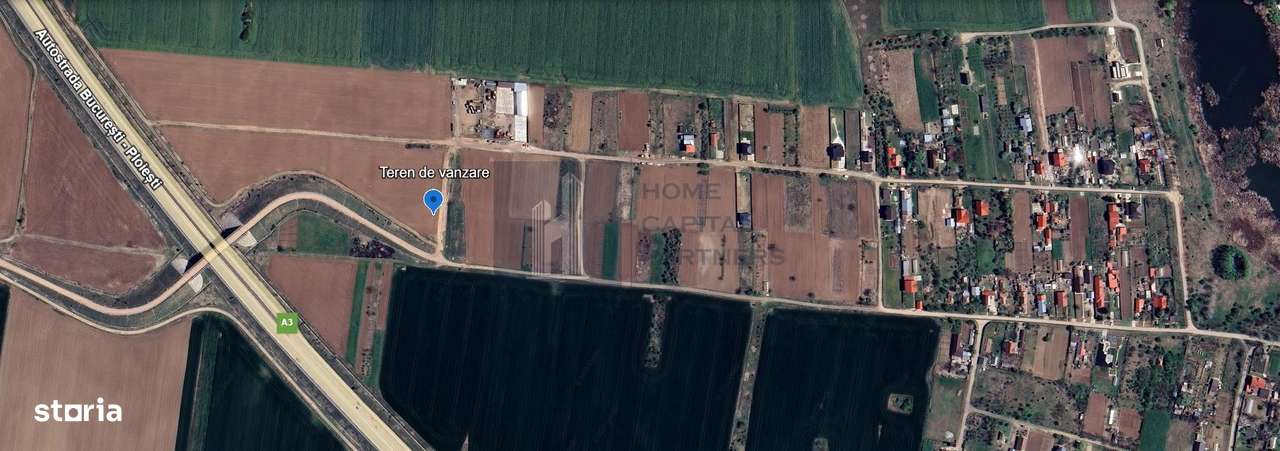 Teren de vanzare | Moara Vlasiei - Imagine principală: 4/4