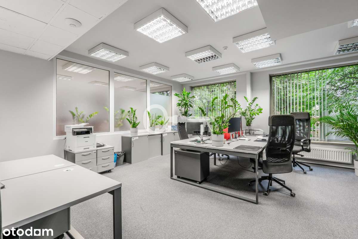 Biura I Biurowiec I Centrum I Parking - Pełny obrazek: 5/9