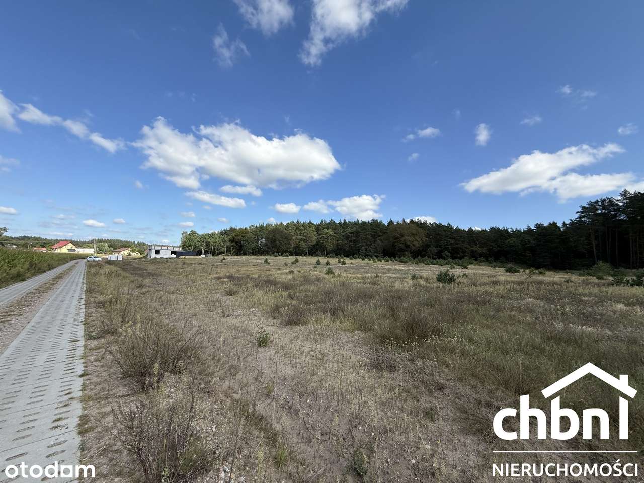 Okazja! Duża działka 3178 m² – Kaszuby - Pełny obrazek: 4/16