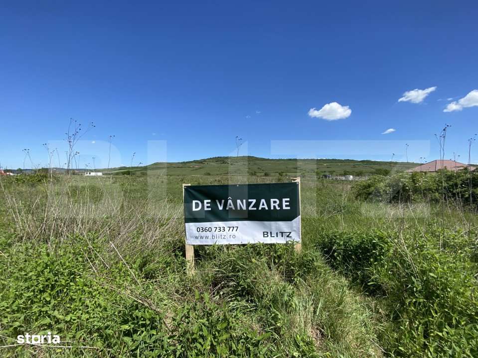 Teren Intravilan zona Industriala - Imagine principală: 3/3