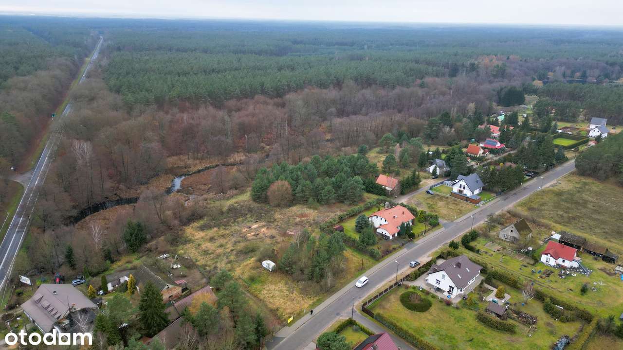 Duża działka, prawie 30A, Zdroisko, gmina Kłodawa-4