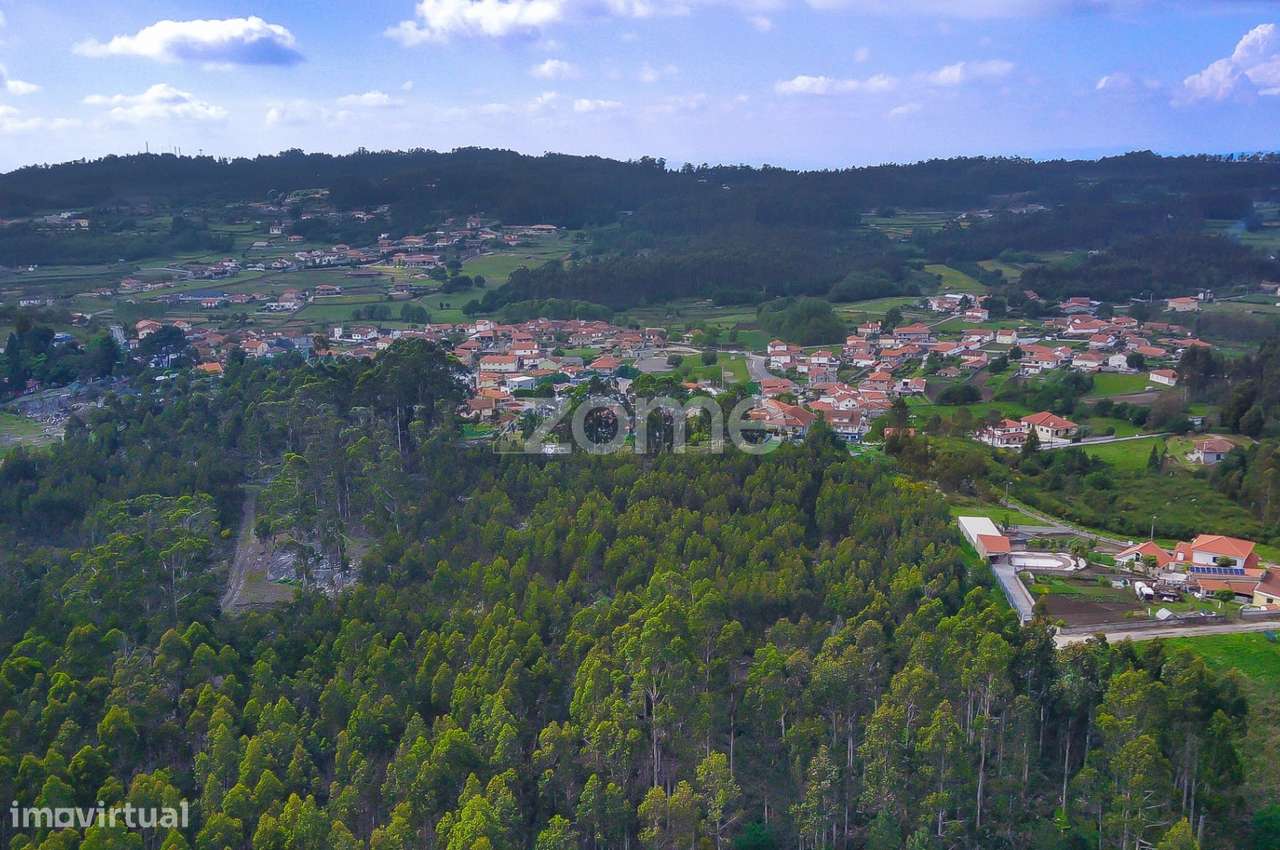 Terreno Rústico de 9.124 m2 em Barreiras - Monte Córdova - Grande imagem: 3/11