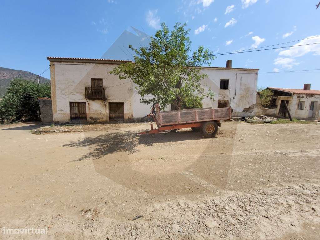 QUINTA COM VINHA - FIGUEIRA DE CASTELO RODRIGO-16