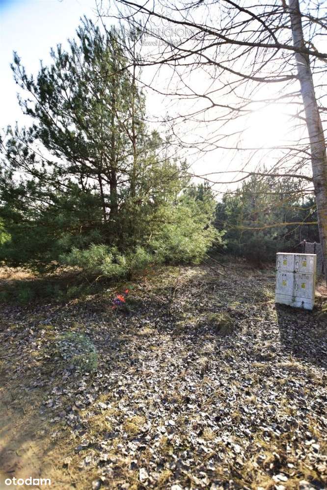 Działka Budowlana W Otoczeniu Zielenie Podlasie - Pełny obrazek: 5/7