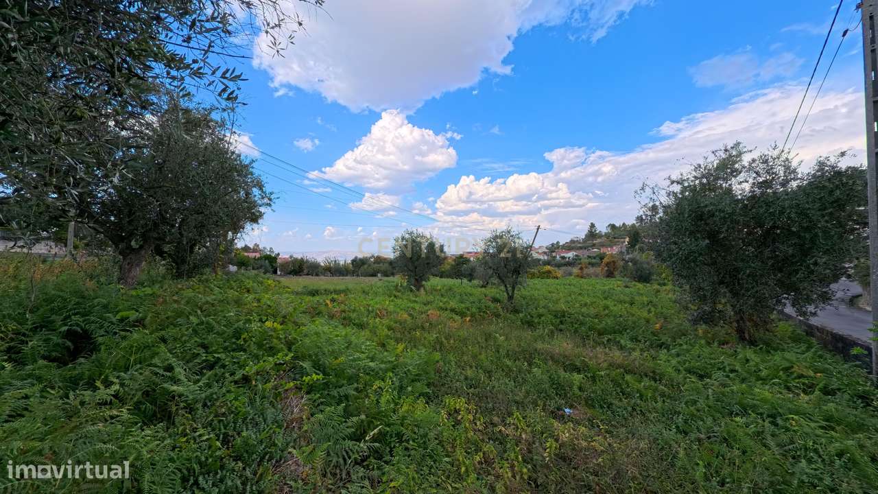 Terreno em Mangualde da Serra, Gouveia - Próximo da Serra da Estrela - Grande imagem: 4/6