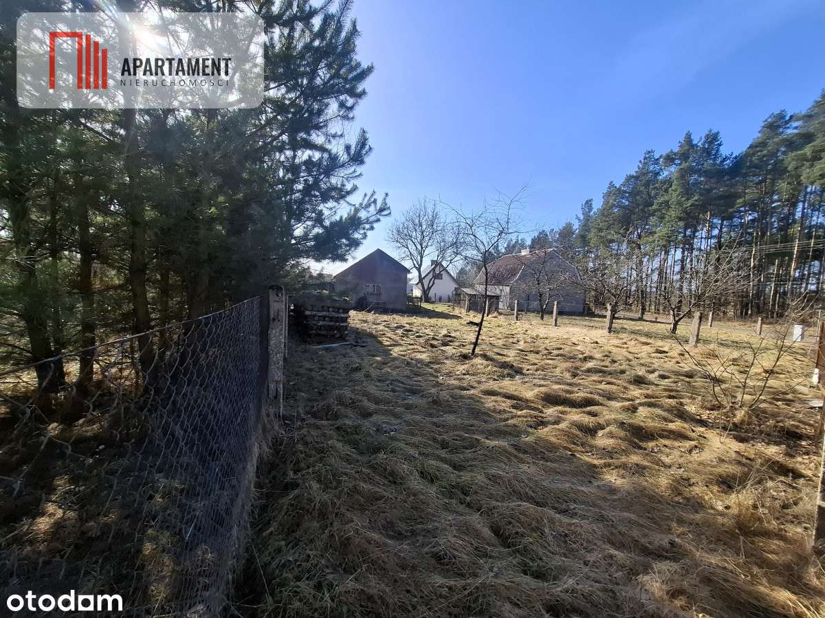 Dom z potencjałem przy lesach Borów Tucholskich - Pełny obrazek: 4/10