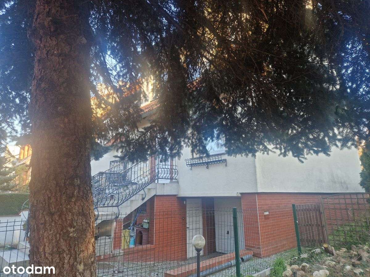 Szereg Skrajny W Sąsiedztwie Parku-17