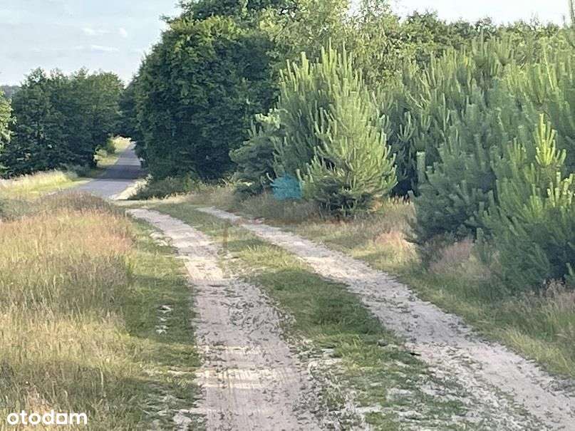 Atrakcyjna działka z warunkami zabudowy Karczewko - Pełny obrazek: 5/9