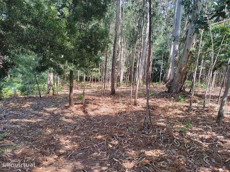 Vende-se terreno em Sabadim (Arcos de Valdevez - Viana do Castelo) - Grande imagem: 4/7