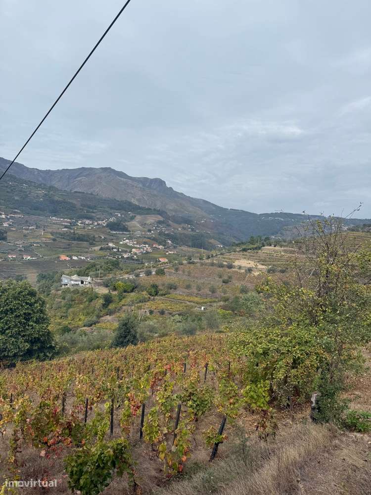 Quinta do Prado em Moura Morta, Régua-32