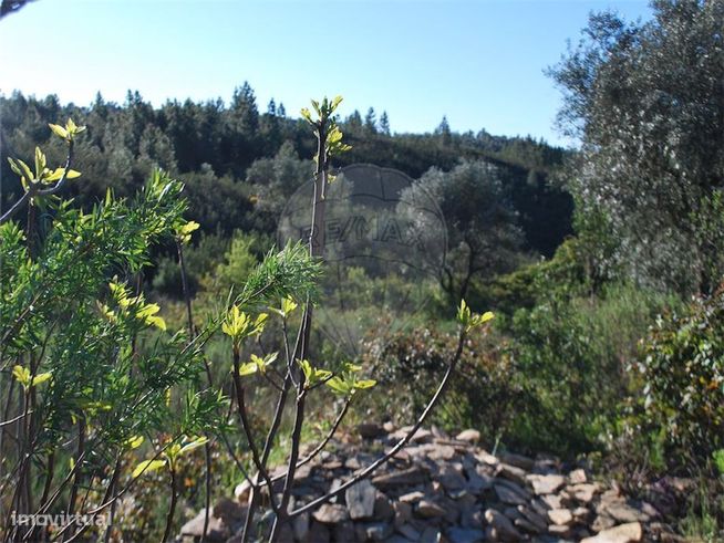 Quinta T0 para venda-7