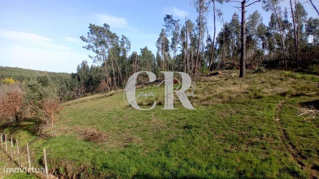 Moradia em pedra em Figueiró dos Vinhos com terreno e poço de água-34