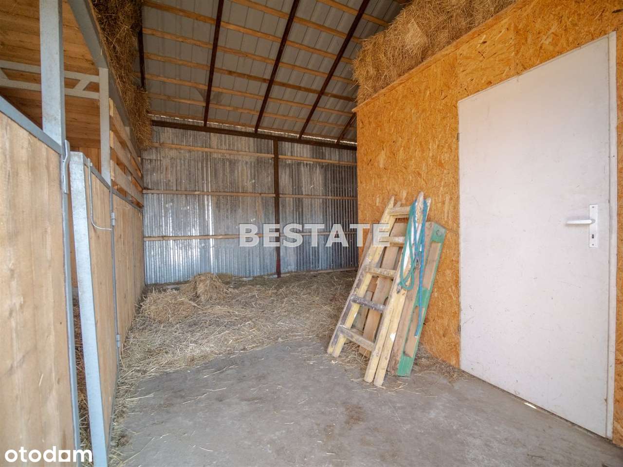 Ośrodek na sprzedaż, Pleśna-8