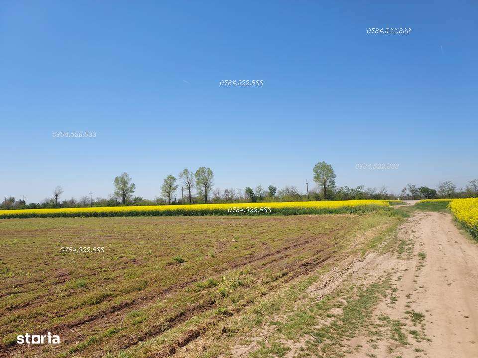 Teren intravilan 500 mp aproape de Bucuresti, Berceni, Ilfov - Imagine principală: 5/8