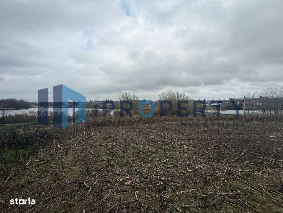 Teren 2.000 Mp | Ileana - Calarasi | Dubla Deschidere Stradala - Imagine principală: 4/5