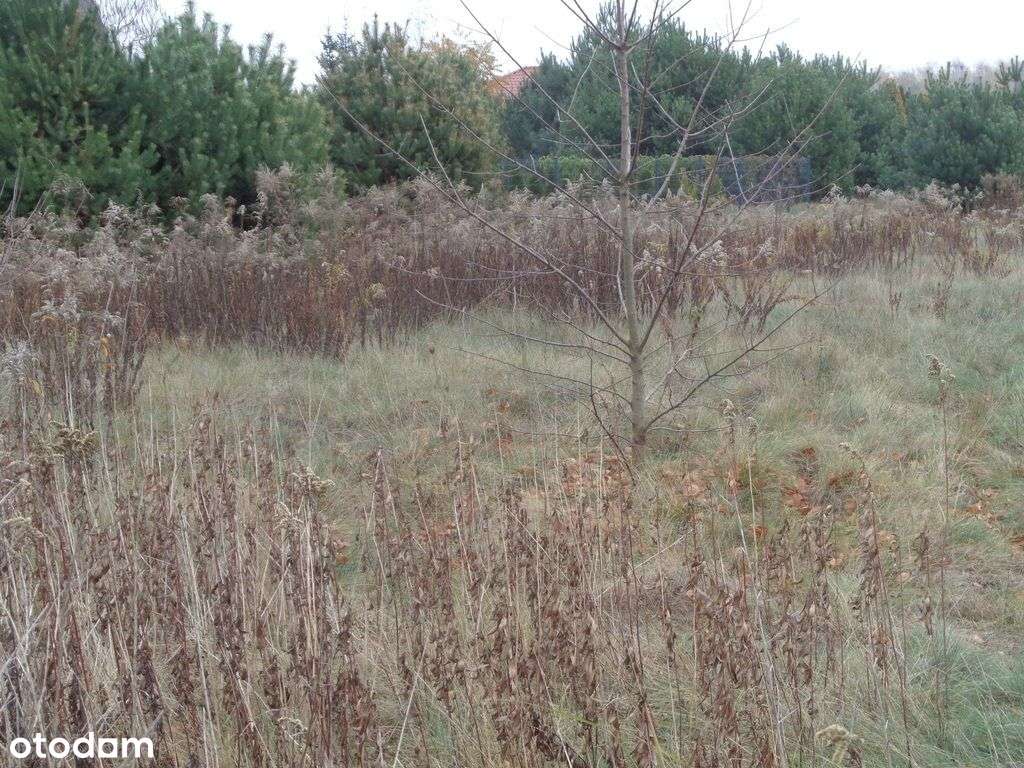 Działka budowlana w pobliżu Kampinoskiego P. N.-1