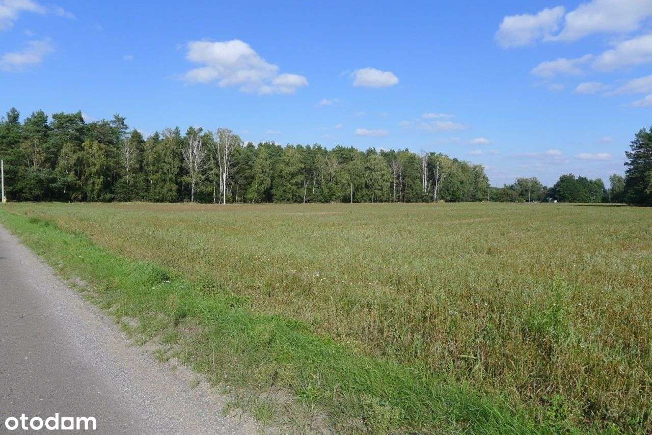 2500 m² – Ignacew Rozlazły, gm. Parzęczew – Mpzp-1