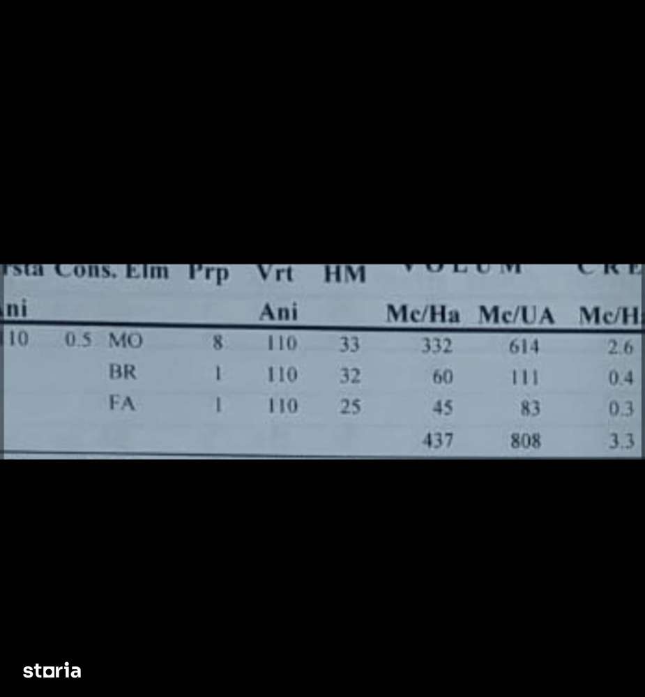 Vindem padure rasinoase 808 mc in 18500 mp, Moldovita - Suceava - Imagine principală: 2/6