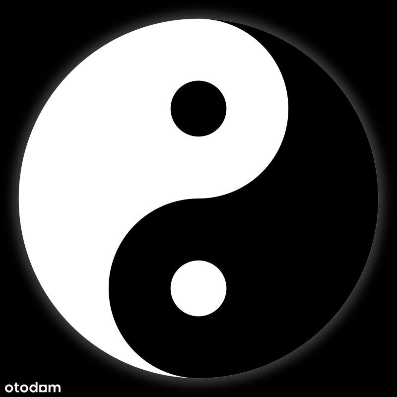 Yin Yang: bezpieczny najem x 2 + święty spokój !