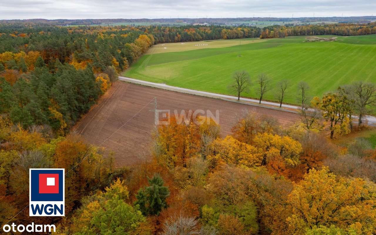 Na sprzedaż, Gospodarstwo Rolne- Ekologiczna Farma Mleczna, Wyczechowo-15