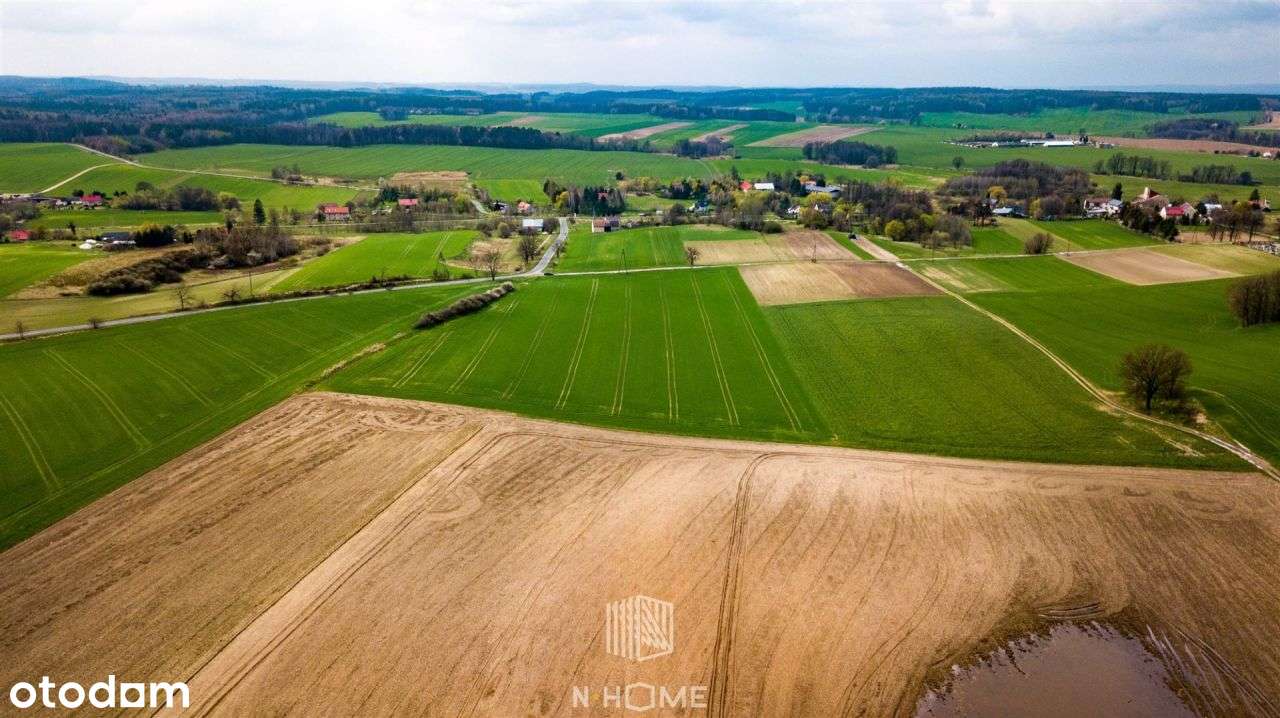 3 Ha zabudowa mieszkaniowa | Jaszów | Nowa Cena - Pełny obrazek: 5/10