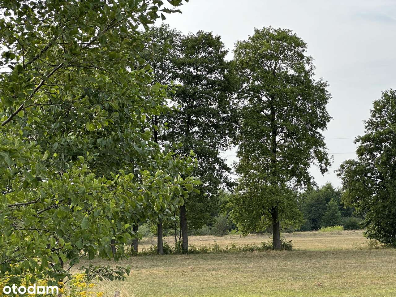 Działka  budowlana gm. Strachówka 50min od Wa-wy - Pełny obrazek: 4/5