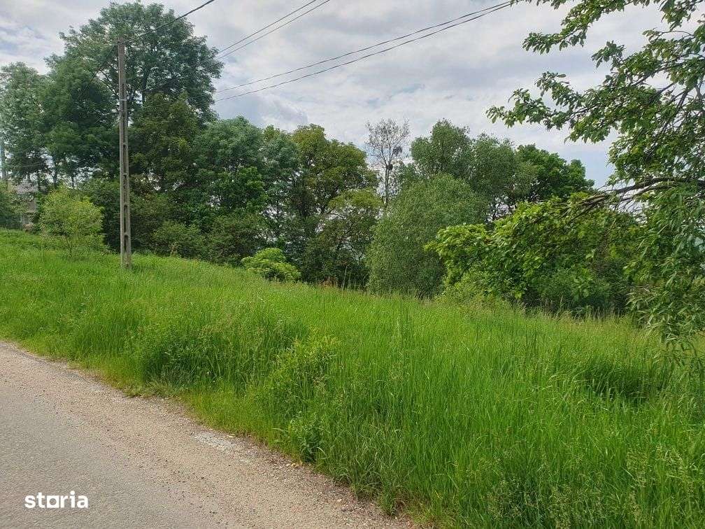 Comision 0% .De vânzare  2000 mp teren intravilan Valcele - Imagine principală: 2/2