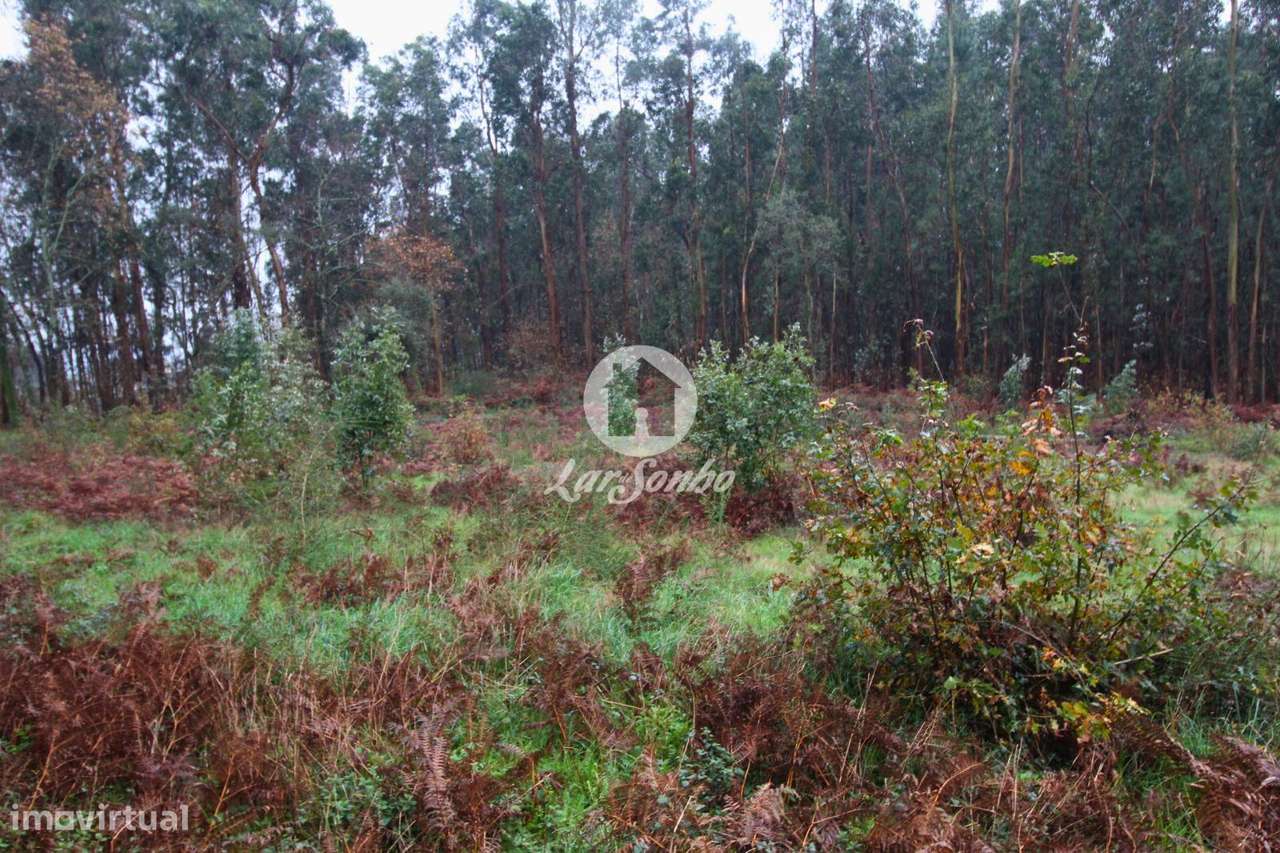 Terreno para Construção de moradias - Grande imagem: 3/24