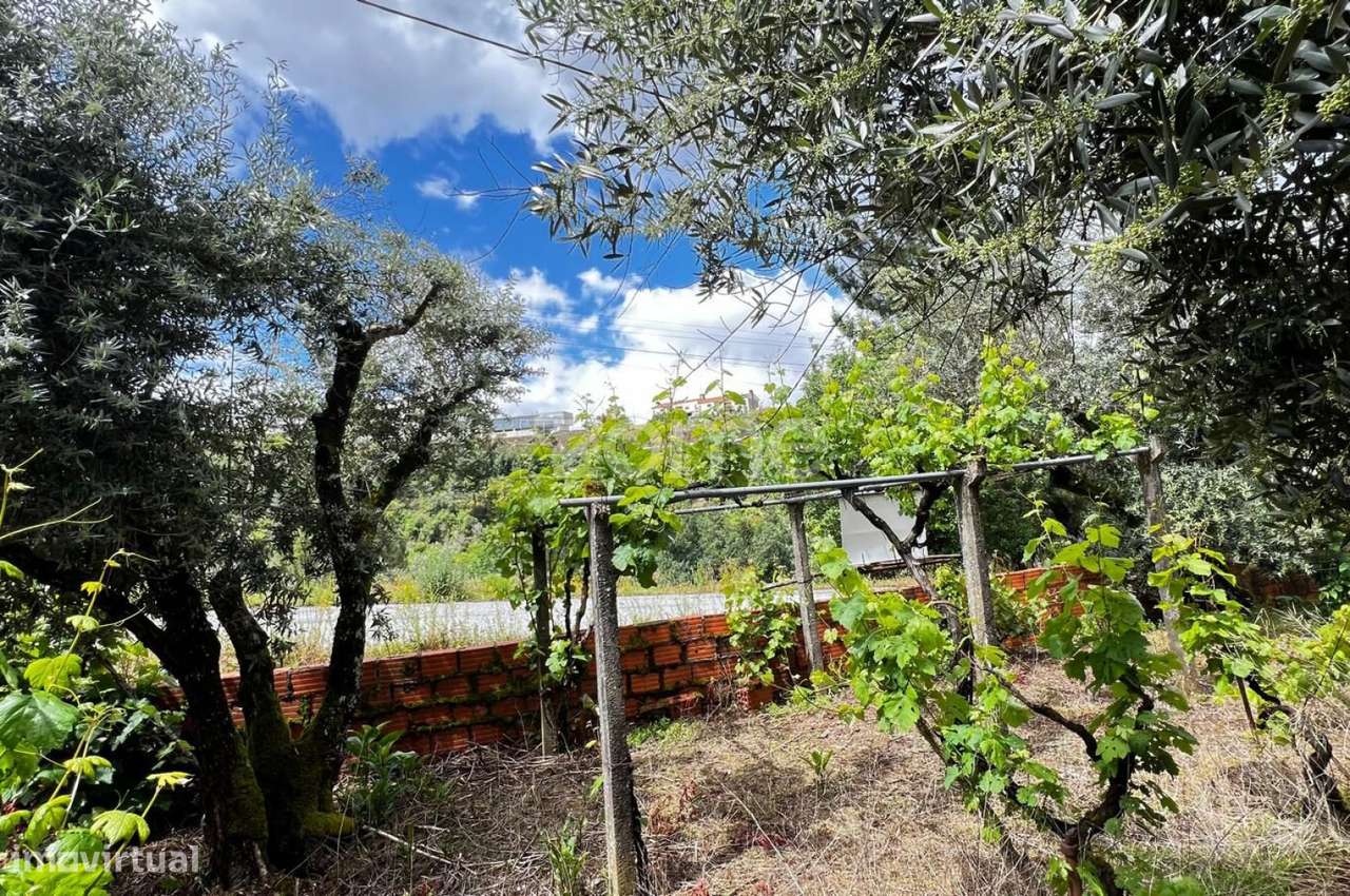 Terrenos Urbanizáveis com 680 e 1.630 m2 - Pampilhosa da Serra-7