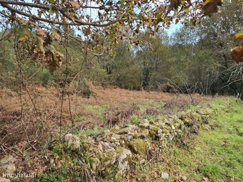 Terreno - Grande imagem: 3/8