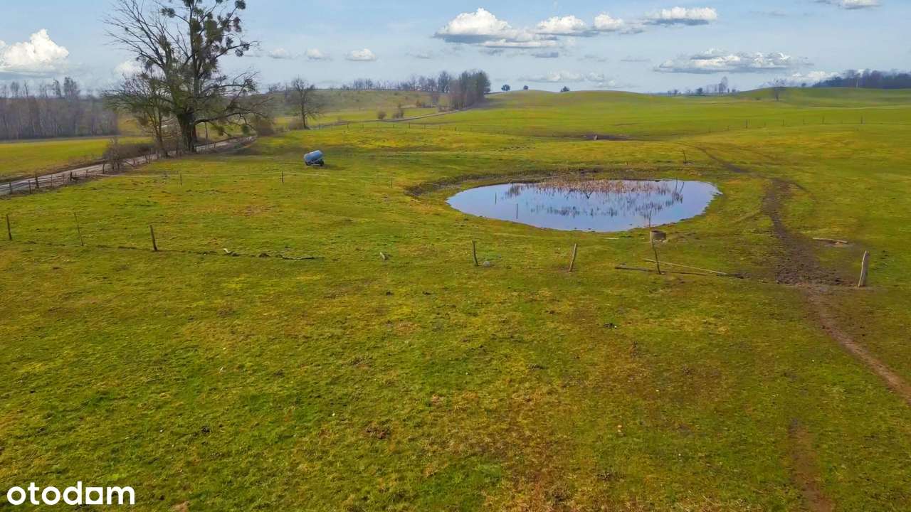 Mazury  działka budowlana  w otoczeniu lasów i jezior - Pełny obrazek: 4/4