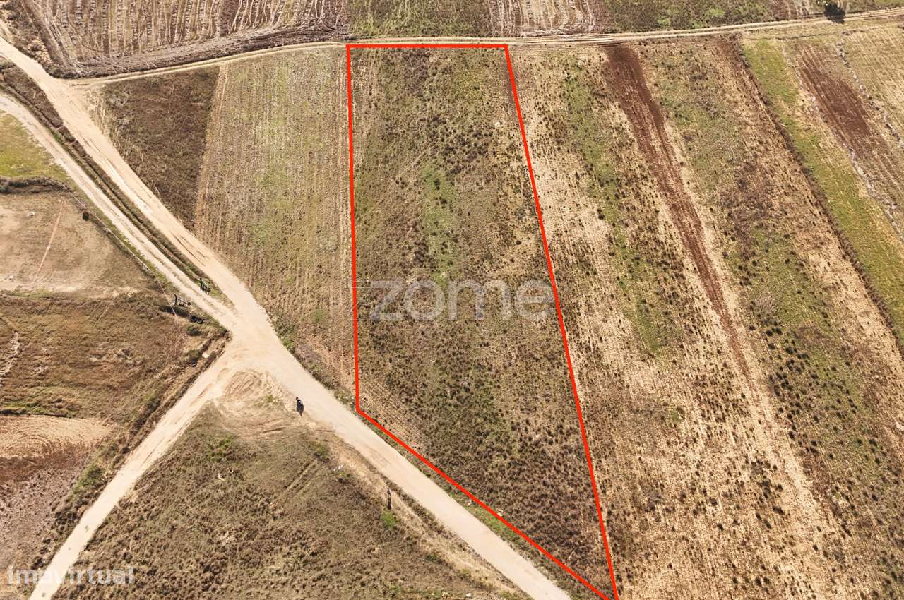 Terreno em Tunes - Grande imagem: 4/15