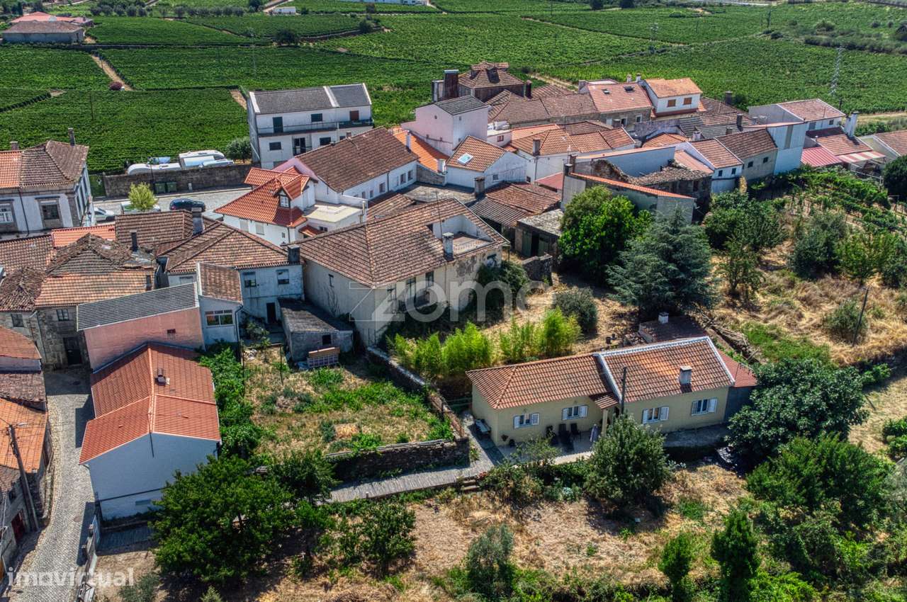 Moradia c/9 divisões, vinha e armazém em Lugar de São Gonçalo, Fava...-34