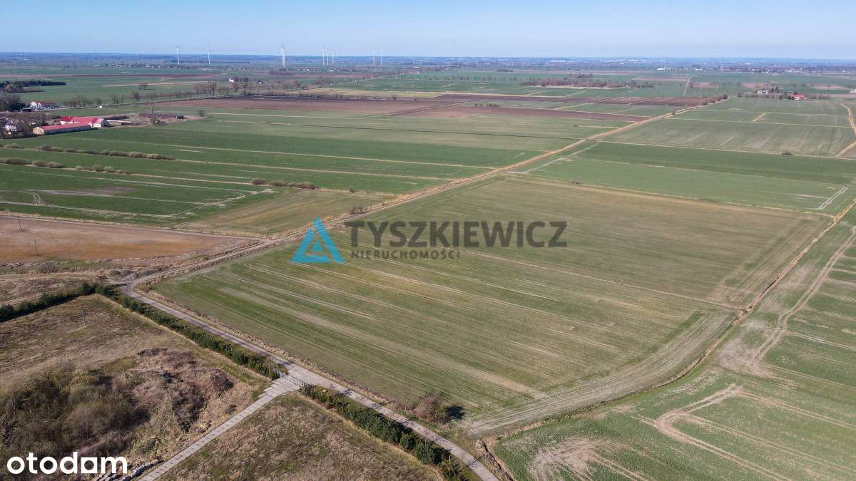 3 Działki rolne pod uprawy - Czerwone Stogi - Pełny obrazek: 4/12