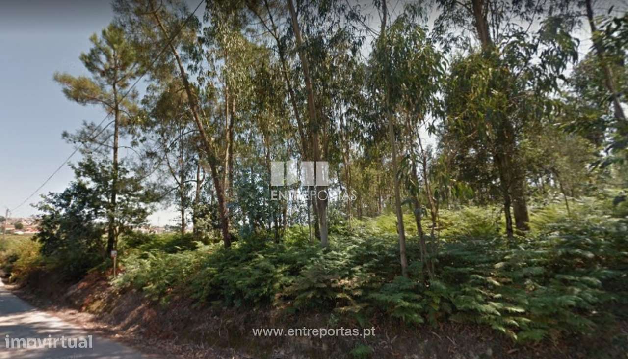 Venda de Terreno Florestal, Rates, Póvoa de Varzim - Grande imagem: 4/27