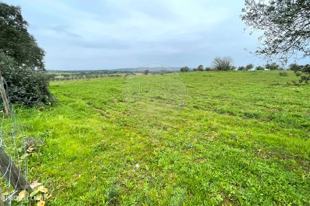 Terreno  para venda - Grande imagem: 3/7