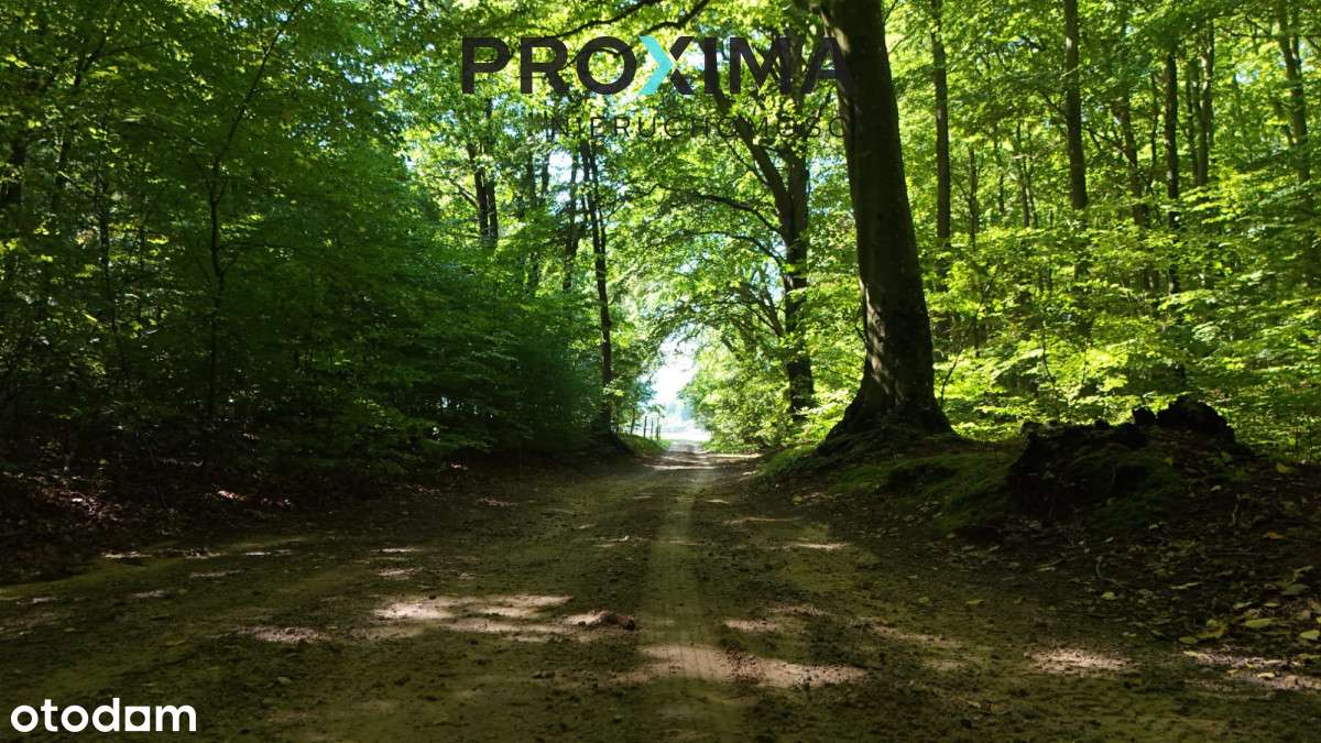 Nowoczesne domy blisko jeziora i morza - Pełny obrazek: 4/20