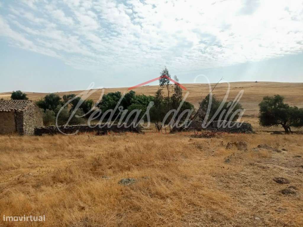 Propriédade de 119ha com varias ruinas - Castro Verde-23