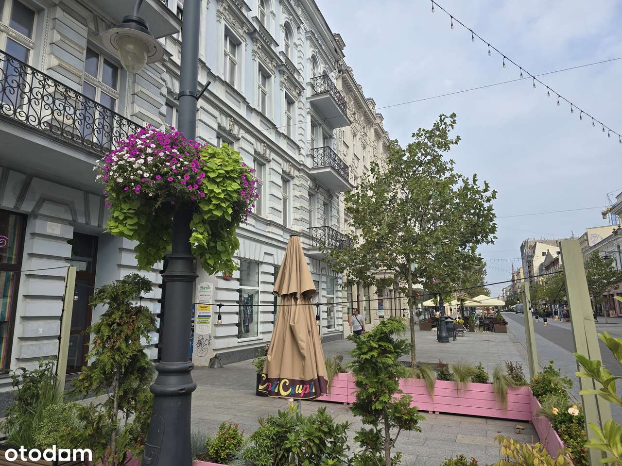 Piotrkowska 109 lokal parter w podwórku lokal do remontu - Pełny obrazek: 4/12