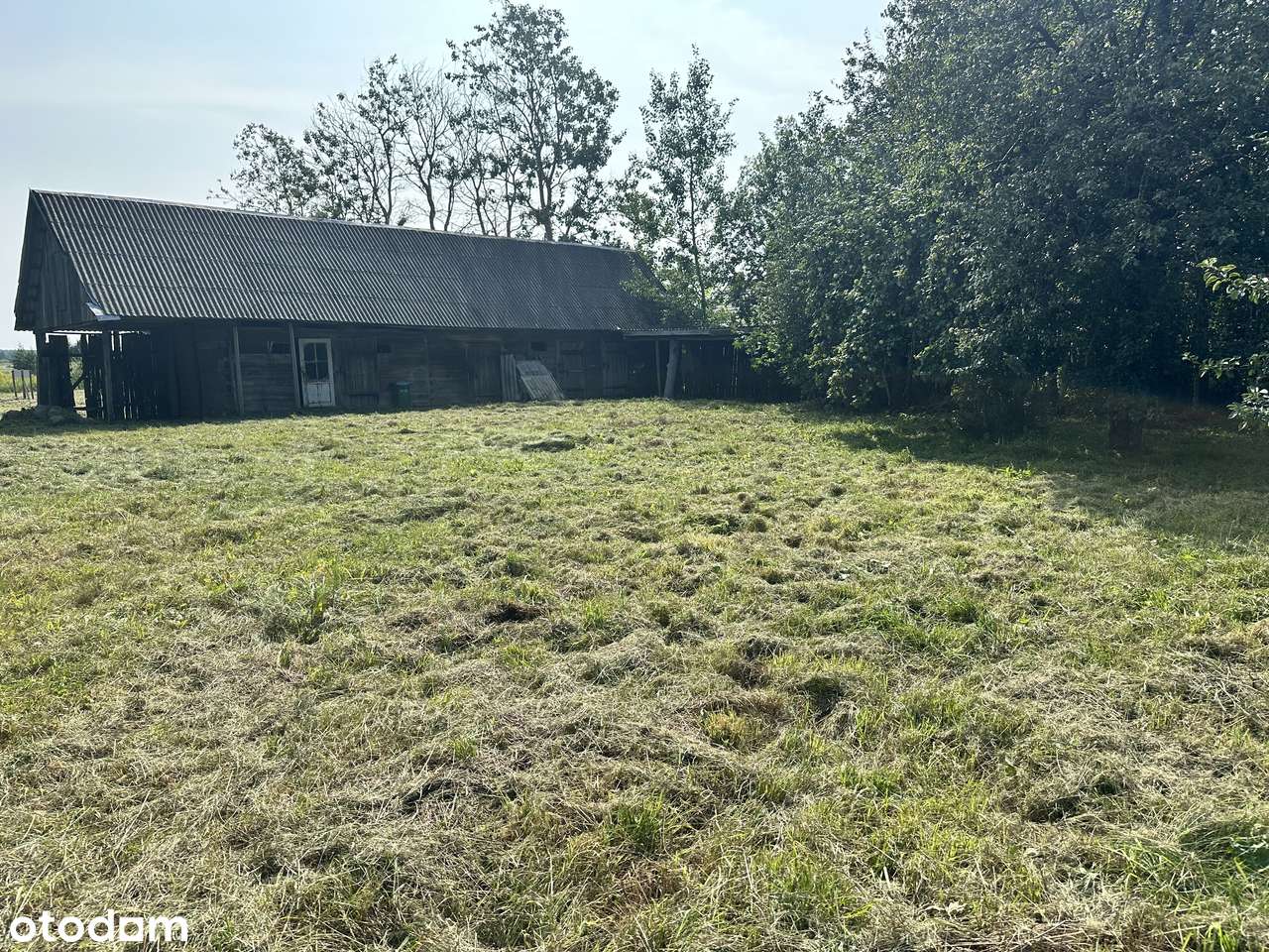 DZIAŁKA BLISKO PUSZCZY BIAŁOWIESKIEJ - Pełny obrazek: 4/5