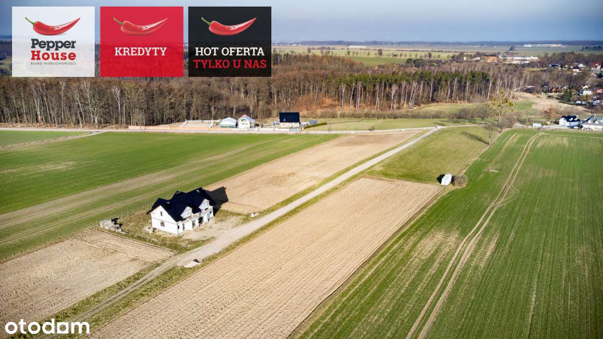 Działka blisko morza! Osłonino - Pełny obrazek: 4/17