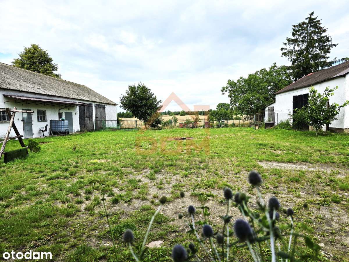 Dom z potencjałem – Zajeziorze, - Pełny obrazek: 2/11