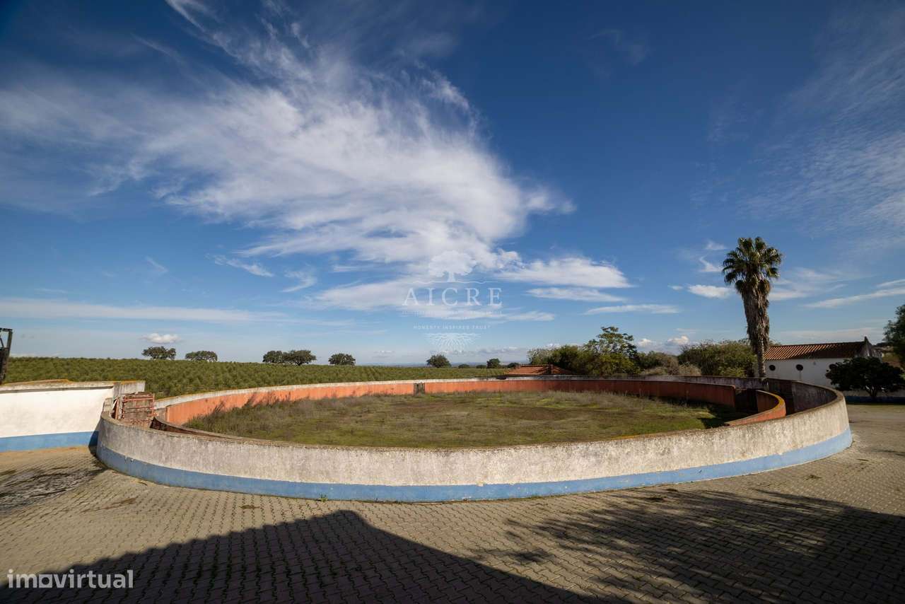 Herdade Alentejo-22