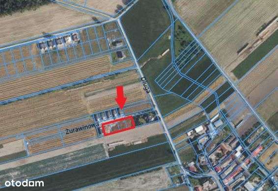 625 m² Konarskie, gm. Kórnik, z pozwoleniem na budowę, dach płaski - Pełny obrazek: 4/4